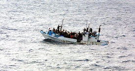 Flüchtlingsangelegeneiten/Asyl