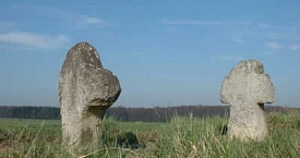 Frellstedt - Steinkreuze.jpeg