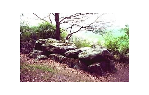 Großsteingrab am Dorm.jpeg&nbsp;&copy;&nbsp;Landkreis Helmstedt
