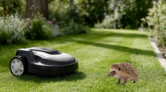 Igel vs Mähroboter&nbsp;&copy;&nbsp;Adobe Stock 1684716885