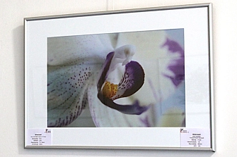 KVHS Fotostammtisch stellt aus&nbsp;&copy;&nbsp;Landkreis Helmstedt