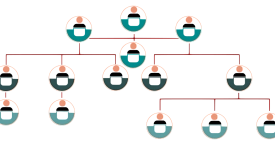 Organisationsstruktur