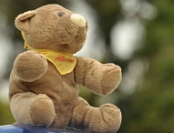 Ein Teddy mit einem Halstuch, auf dem "Alles Liebe" steht.&nbsp;&copy;&nbsp;Verlagsgruppe KIM GmbH & Co KG