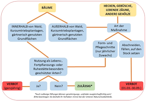 Übersichtsdiagramm zur Zulässigkeit von Fällungen Übersichtsdiagramm zur Zulässigkeit von Fällungen © Landkreis Helmstedt